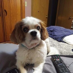 Meet your Posher, Jackie